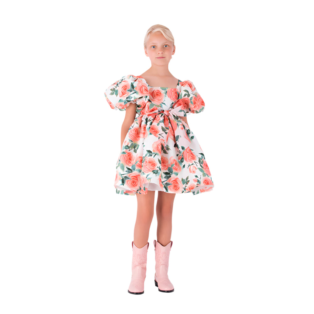 Balloon Sleeves Rose Dress
