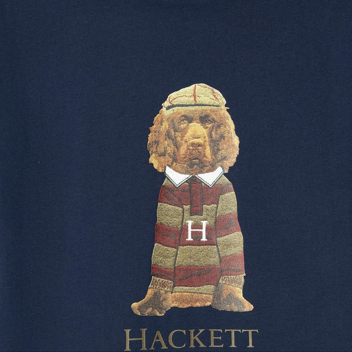 Hackett LondonHarry Logo T-Shirt5063698378337SAVANNA