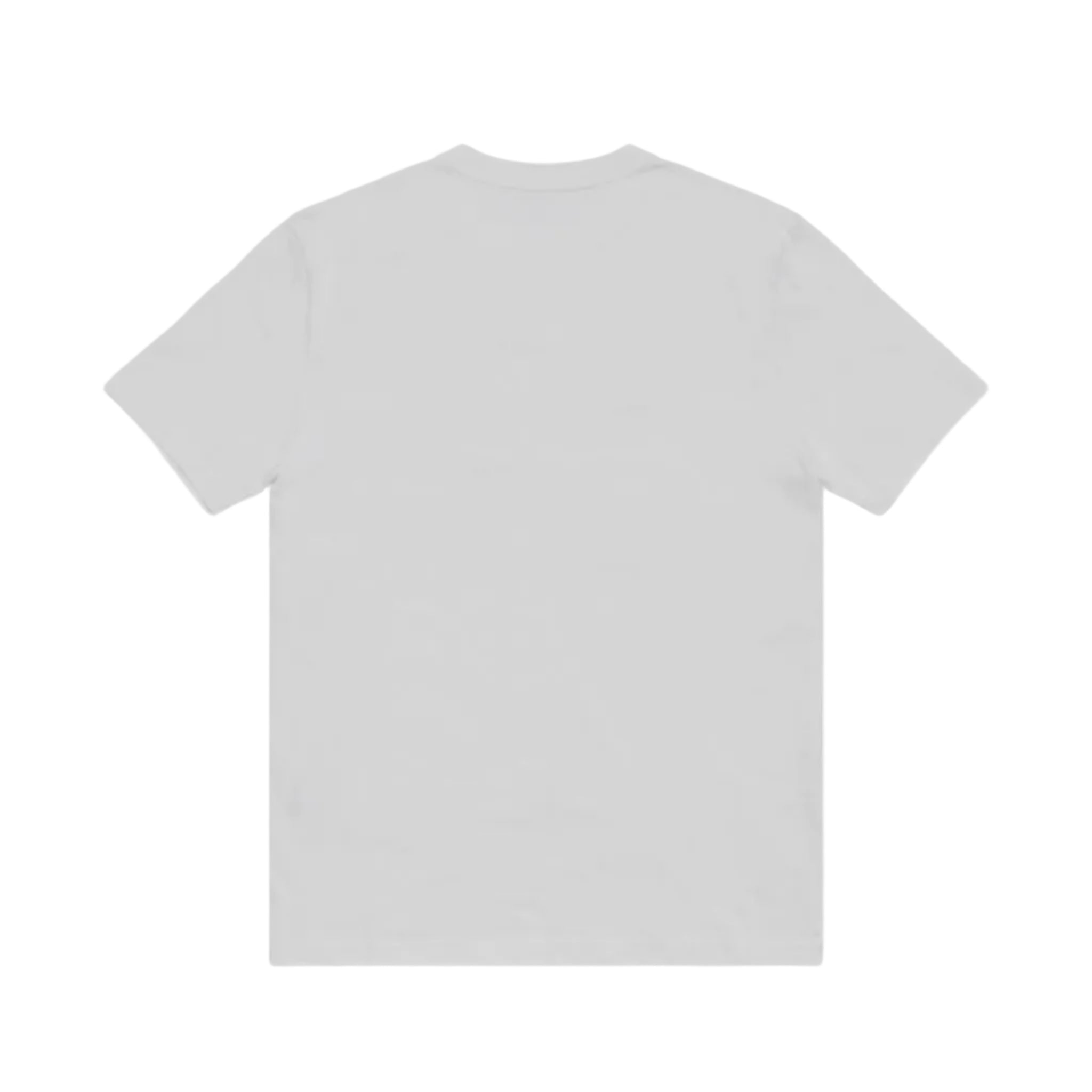 MSGMLogo Printed Crewneck T-Shirt8051883442854SAVANNA