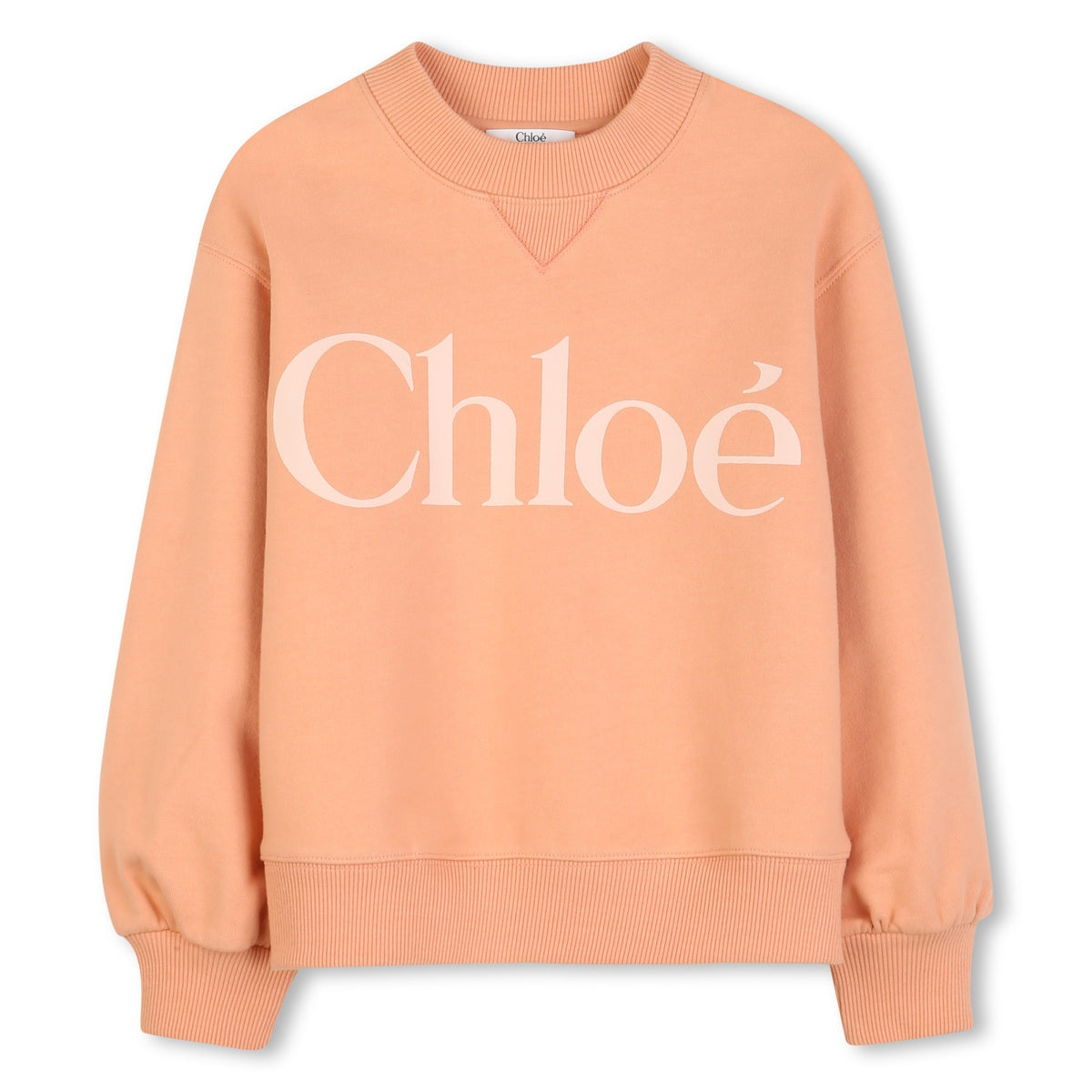 CHLOÉLogo Print Sweatshirt3617165881664SAVANNA