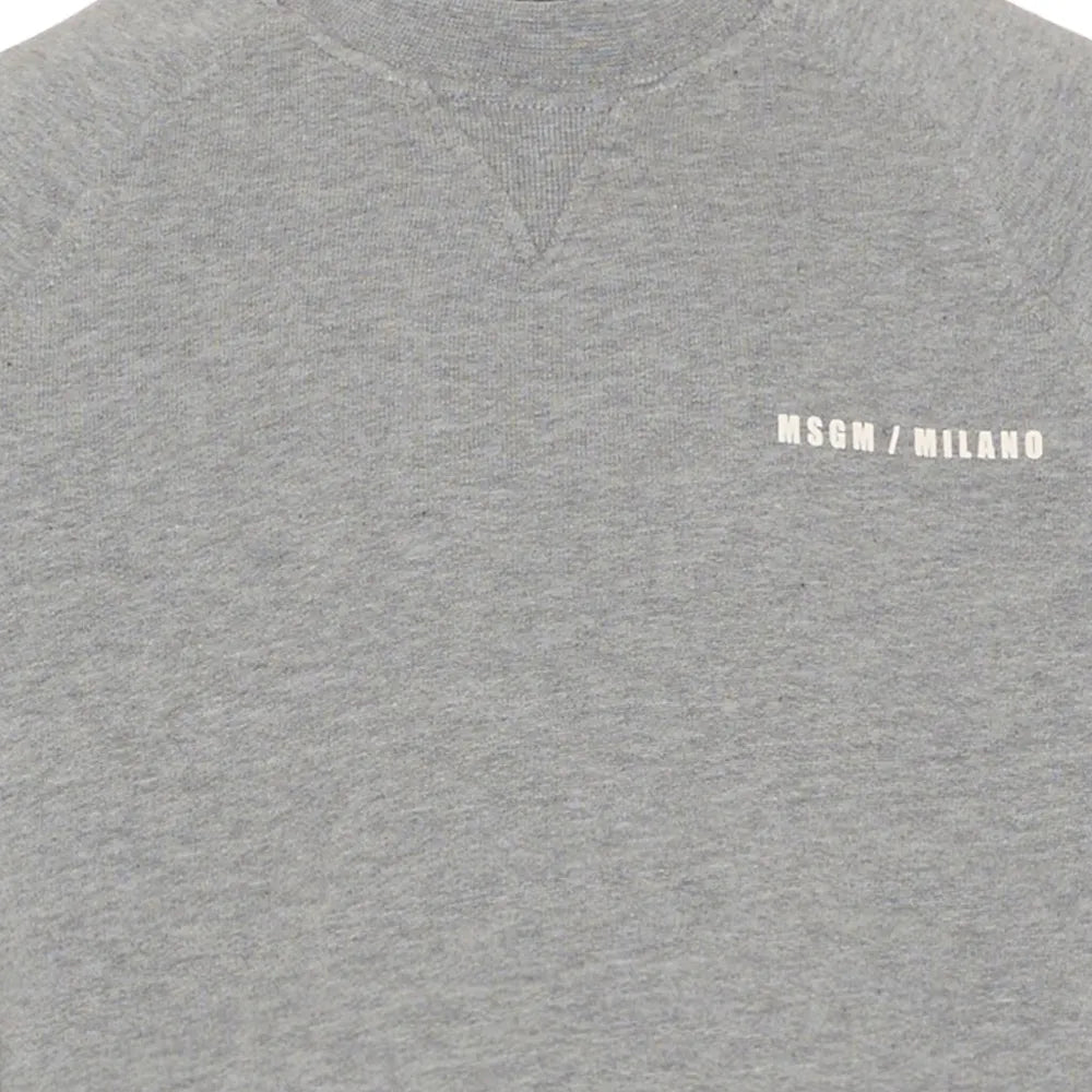 MSGMRaglan Logo Print Sweatshirt8051883382662SAVANNA